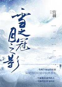 冠之雪原全图鉴攻略