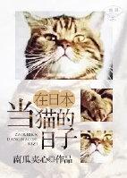 在日本当猫的日子讲了什么