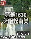 穿越1630之崛起南美全本txt