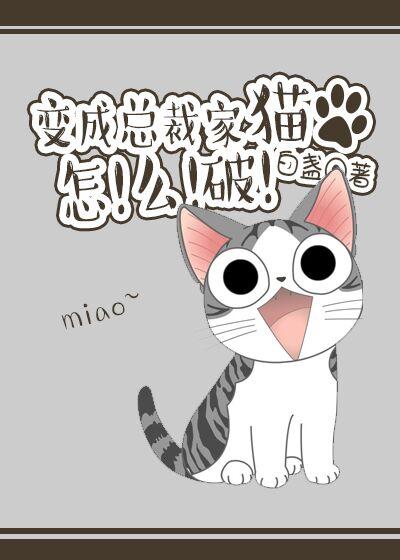 成了总裁的小猫咪