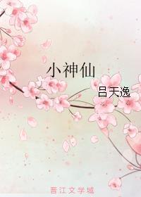 小神仙歌曲歌词