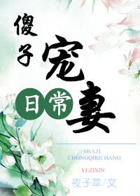 傻子宠妻日常晋江