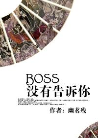 boss没有告诉你