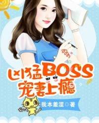 boss宠妻上瘾阅读