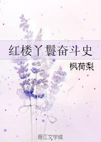 红楼丫鬟日常大结局