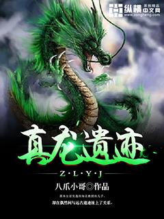 寻找真龙