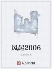 风起2006