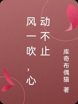 风一吹，心动不止